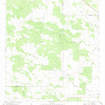 United States Geological Survey Bruni SE, TX (1972, 24000-Scale) digital map