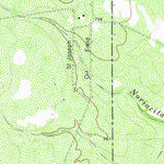 United States Geological Survey Bruni SE, TX (1972, 24000-Scale) digital map