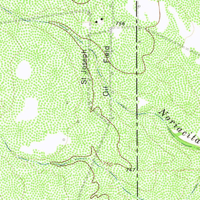 United States Geological Survey Bruni SE, TX (1972, 24000-Scale) digital map