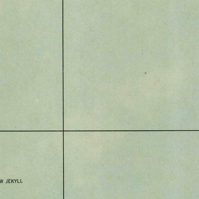 United States Geological Survey Brunswick, GA (1945, 62500-Scale) digital map