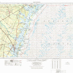 United States Geological Survey Brunswick, GA (1978, 250000-Scale) digital map