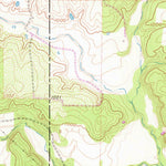 United States Geological Survey Brushy Mound, TX (1961, 24000-Scale) digital map