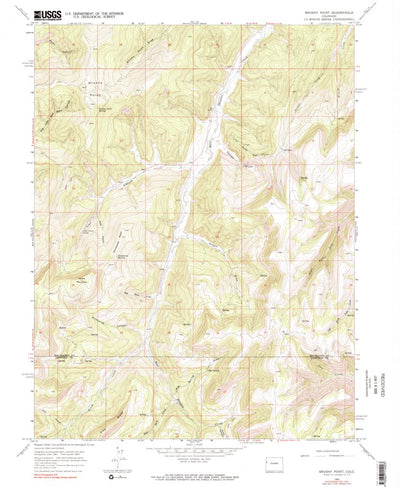 United States Geological Survey Brushy Point, CO (1964, 24000-Scale) digital map