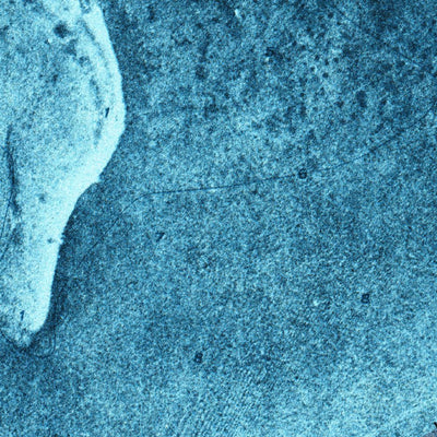 United States Geological Survey Buchanan Keys, FL (1972, 24000-Scale) digital map