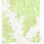 United States Geological Survey Buck Bay, TX (1984, 24000-Scale) digital map