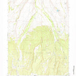 United States Geological Survey Buck Fever Ridge, WY (1964, 24000-Scale) digital map