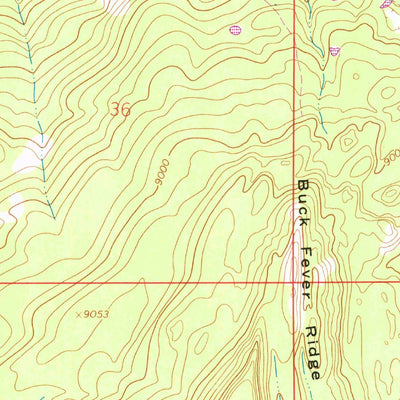 United States Geological Survey Buck Fever Ridge, WY (1964, 24000-Scale) digital map