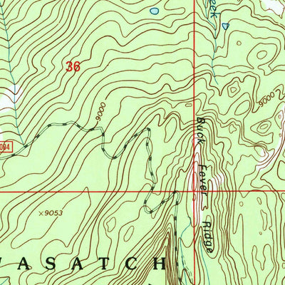 United States Geological Survey Buck Fever Ridge, WY (1998, 24000-Scale) digital map