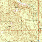 United States Geological Survey Buck Mountain, WA (1989, 24000-Scale) digital map