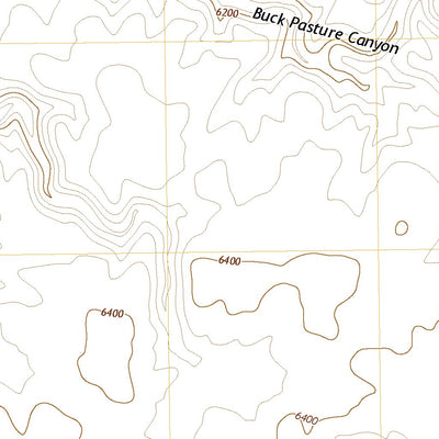 United States Geological Survey Buck Pasture Canyon, AZ (2021, 24000-Scale) digital map