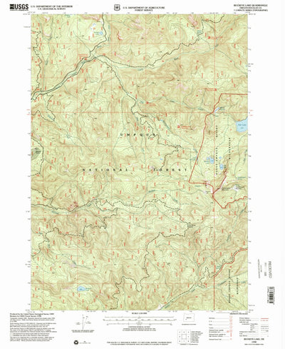 United States Geological Survey Buckeye Lake, OR (1998, 24000-Scale) digital map