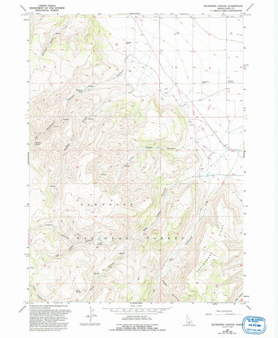 United States Geological Survey Buckhorn Canyon, ID (1965, 24000-Scale) digital map