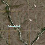 United States Geological Survey Buckhorn Draw West, TX (2010, 24000-Scale) digital map