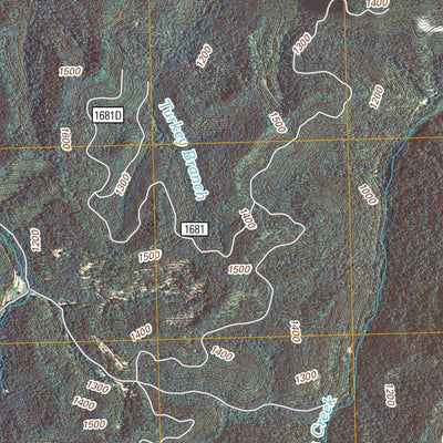United States Geological Survey Buckhorn, KY (2011, 24000-Scale) digital map