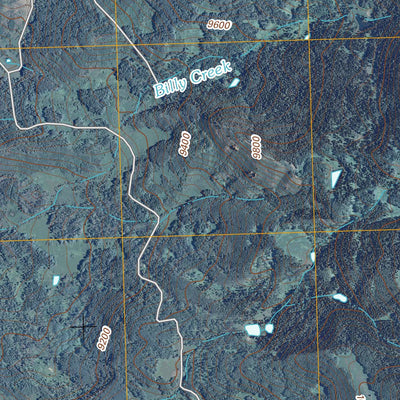 United States Geological Survey Buckhorn Lakes, CO (2011, 24000-Scale) digital map