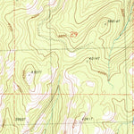 United States Geological Survey Buckhorn Mountain, WA (1988, 24000-Scale) digital map