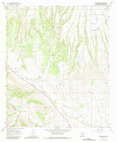 United States Geological Survey Buckhorn, NM (1965, 24000-Scale) digital map