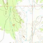 United States Geological Survey Buckhorn, NM (1965, 24000-Scale) digital map