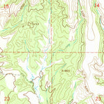 United States Geological Survey Buckhorn, NM (1965, 24000-Scale) digital map