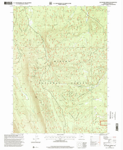 United States Geological Survey Buckhorn Springs, OR (1998, 24000-Scale) digital map