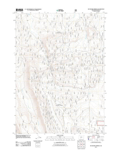 United States Geological Survey Buckhorn Springs, OR (2011, 24000-Scale) digital map