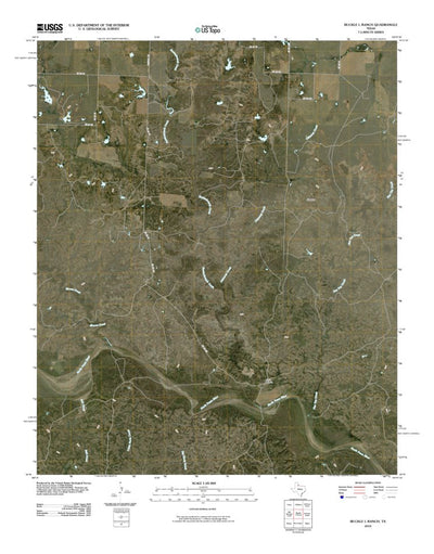 United States Geological Survey Buckle L Ranch, TX (2010, 24000-Scale) digital map