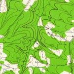 United States Geological Survey Buckner, VA (1942, 24000-Scale) digital map
