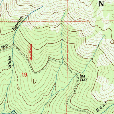 United States Geological Survey Bucks Lake, CA (1994, 24000-Scale) digital map