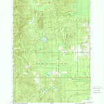 United States Geological Survey Bucks Pond, MI (1989, 24000-Scale) digital map