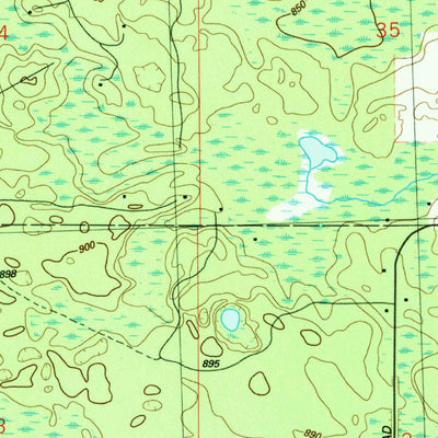 United States Geological Survey Bucks Pond, MI (1989, 24000-Scale) digital map