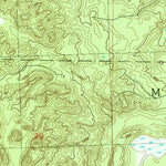 United States Geological Survey Bucks Pond, MI (1989, 24000-Scale) digital map