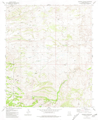 United States Geological Survey Buehman Canyon, AZ (1981, 24000-Scale) digital map