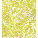 United States Geological Survey Buena Vista, GA (1950, 24000-Scale) digital map