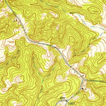 United States Geological Survey Buena Vista, GA (1950, 24000-Scale) digital map
