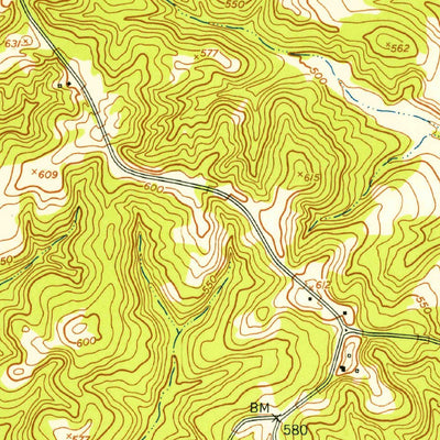 United States Geological Survey Buena Vista, GA (1950, 24000-Scale) digital map