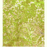 United States Geological Survey Buena Vista, GA (1950, 62500-Scale) digital map