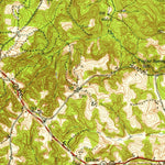 United States Geological Survey Buena Vista, GA (1950, 62500-Scale) digital map