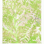 United States Geological Survey Buena Vista, GA (1955, 24000-Scale) digital map