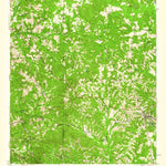 United States Geological Survey Buena Vista, GA (1955, 62500-Scale) digital map
