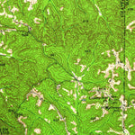 United States Geological Survey Buena Vista, GA (1955, 62500-Scale) digital map
