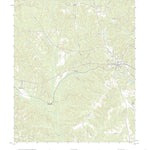 United States Geological Survey Buena Vista, GA (2020, 24000-Scale) digital map
