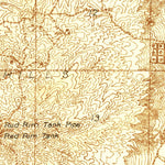 United States Geological Survey Buena Vista Lake Bed, CA (1929, 31680-Scale) digital map