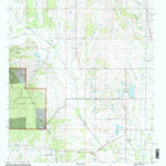 United States Geological Survey Buena Vista, MS (2000, 24000-Scale) digital map