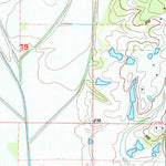 United States Geological Survey Buena Vista, MS (2000, 24000-Scale) digital map