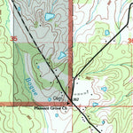 United States Geological Survey Buena Vista, MS (2000, 24000-Scale) digital map