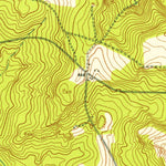United States Geological Survey Buena Vista NE, GA (1950, 24000-Scale) digital map