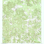 United States Geological Survey Buena Vista NE, GA (1955, 24000-Scale) digital map