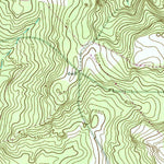 United States Geological Survey Buena Vista NE, GA (1955, 24000-Scale) digital map