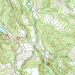 United States Geological Survey Buena Vista NE, GA (1955, 24000-Scale) digital map