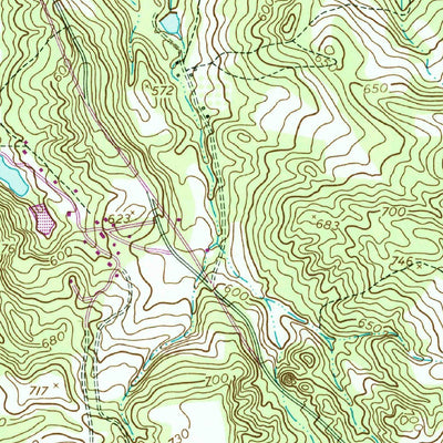 United States Geological Survey Buena Vista NE, GA (1955, 24000-Scale) digital map